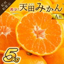 【ふるさと納税】希少！天田みかん（紀州和歌山）A級5kg《先行予約》