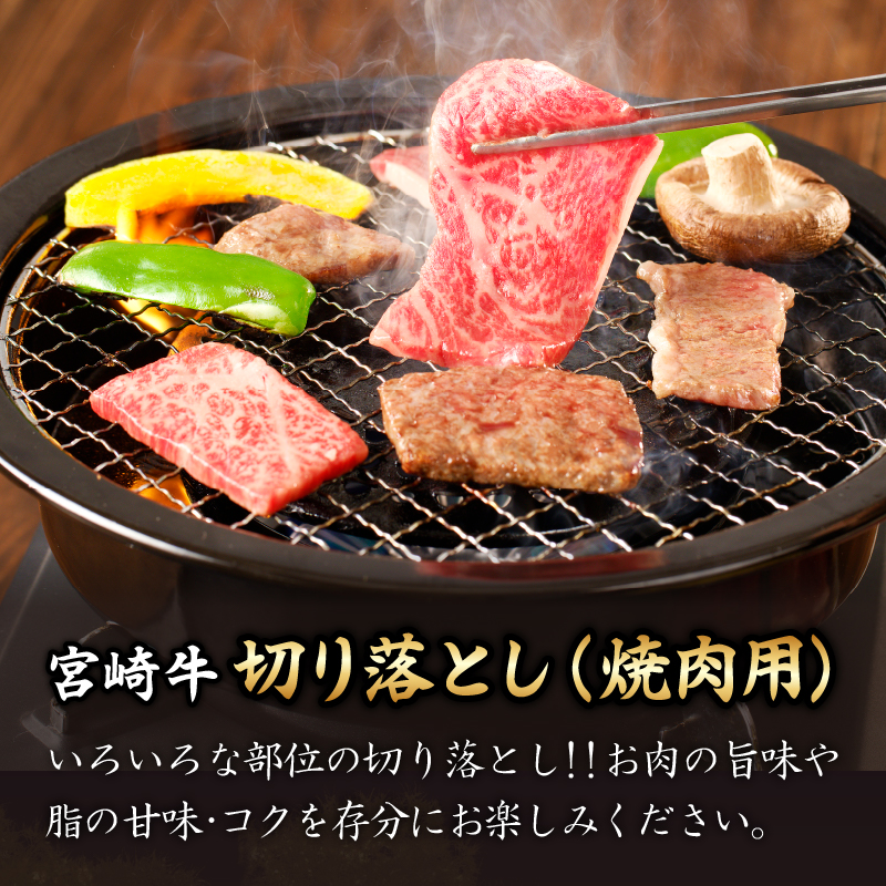 ≪定期便≫＼1か月に2回お届け!!／THEミヤチクセット【総重量2.5kg】_T030-053【肉 牛 牛肉 国産 人気 ギフト 食品 お肉 焼き肉 BBQ お土産 贈り物 送料無料 プレゼント】