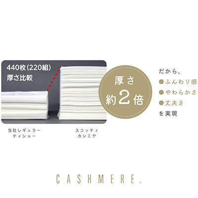 ふるさと納税 開成町 クレシアギフト　カシミヤ　スコッティ 10箱　ティッシュ |  | 01