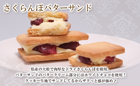 山形県産 さくらんぼスイーツセット B FY25-393