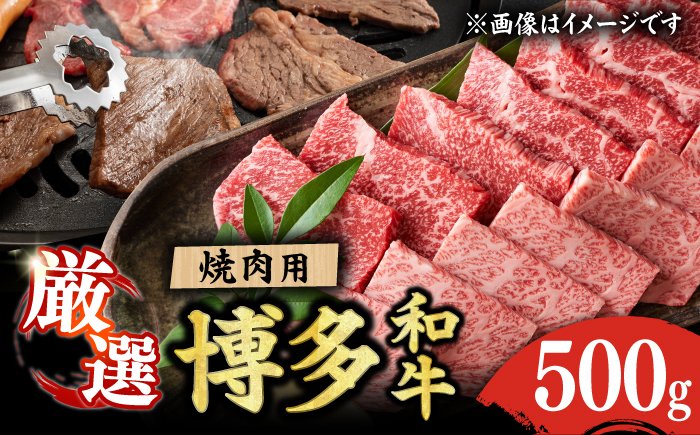 
【和牛の旨味を堪能！】博多和牛 焼肉用 500g 焼肉 国産和牛 博多和牛 和牛 BBQ 焼肉用 肉 にく ニク カルビ ロース モモ 広川町/株式会社MEAT PLUS [AFBO069]
