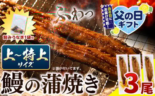 【 土用の丑の日予約受付中！ 】 うなぎ 国産 鰻の蒲焼 3尾 + きざみうなぎ 30g×1袋 上～特上サイズ 《7月上旬-7月中旬頃出荷》| うなぎ 蒲焼 国産 うなぎ 小分け うなぎ 国産 うなぎ 父の日 うなぎ 母の日ギフト うなぎ 簡易包装 送料無料 徳島県 上板町