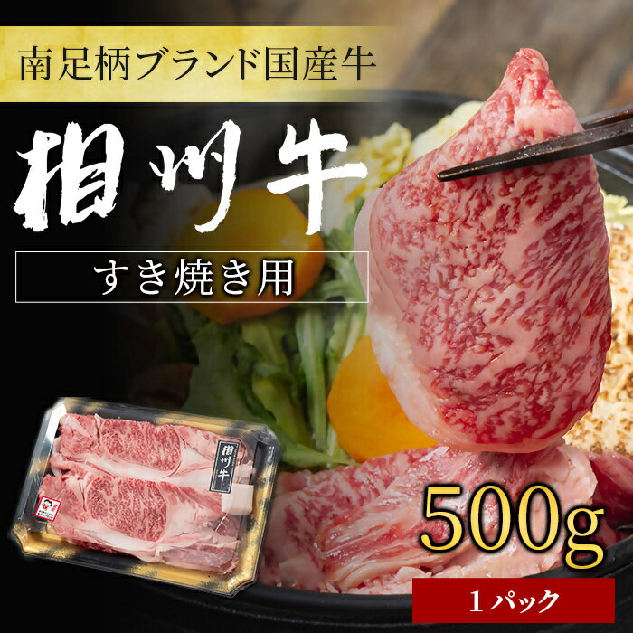 【ふるさと納税】【国産希少牛】 相州牛（すき焼き用） 500g 南足柄ブランド 国産牛 肉 ふるさと納税【すき焼き 牛肉 お肉 ブランド牛 神奈川県 南足柄市 】