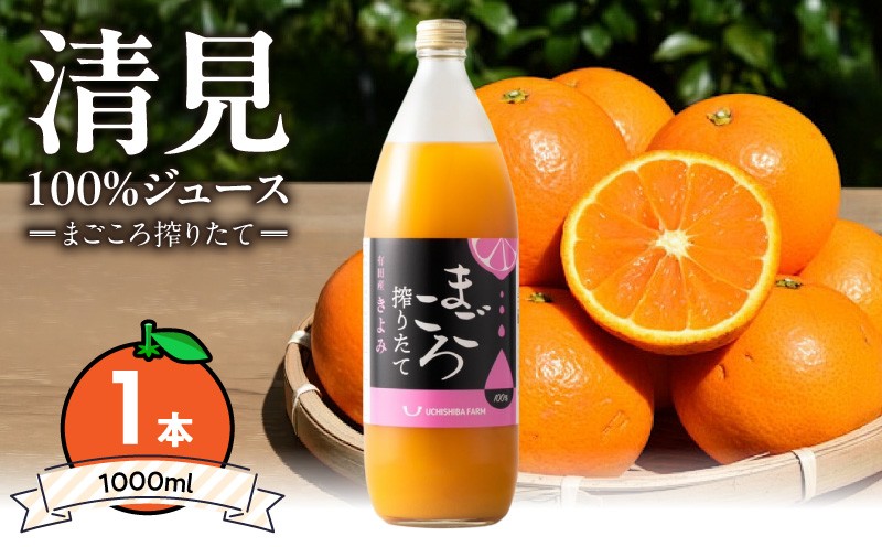 
                   搾りたて 清見100%ジュース 1000ml 1本 有田育ち 清見 清見オレンジ みかん あっさり 酸味 甘味 飲みやすい みかんジュース ジュース 飲料 常温 お取り寄せ 和歌山県 湯浅町 送料無料_ZE6521
                