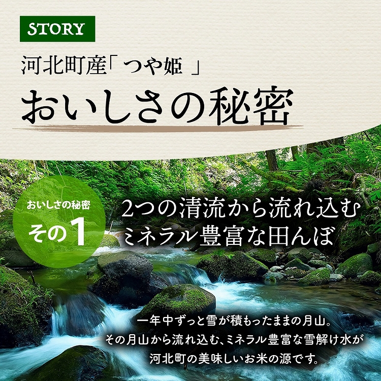 【令和6年産米】2025年3月中旬発送 特別栽培米 つや姫20kg（5kg×4袋）山形県産 【JAさがえ西村山】