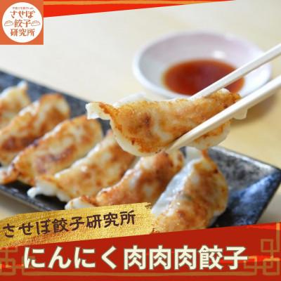 ふるさと納税 佐世保市 〈させぼ餃子研究所〉にんにく肉肉肉餃子　計96個!