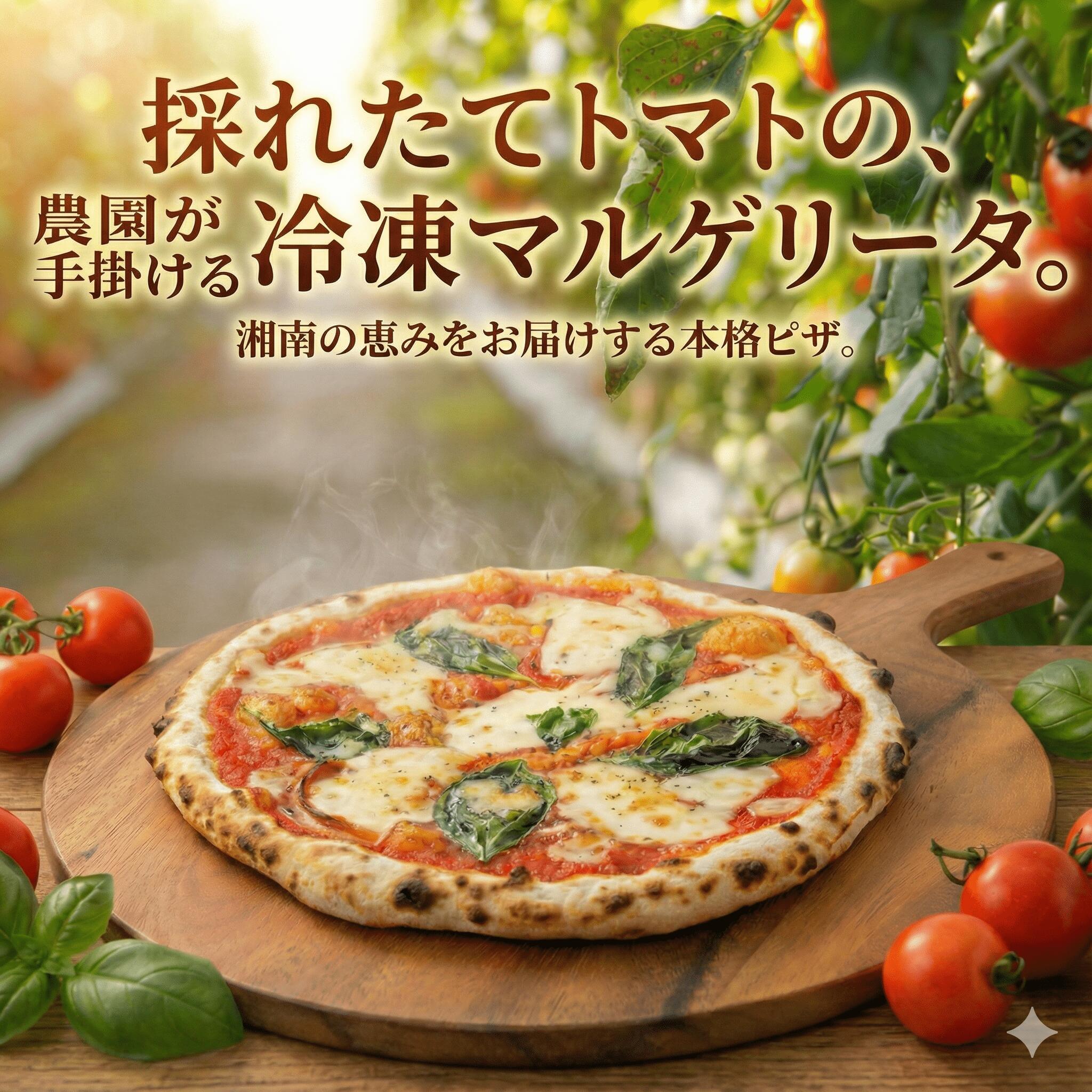 【ふるさと納税】 ピザ マルゲリータ 手作りピザ 冷凍ピザ 3枚 高糖度 フルーツトマト チーズ モッツァレラチーズ 朝採れ フレッシュ バジル トマト トマトソース 濃縮 tomato 野菜 やさい yasai こだわり 農家 トマト農家 農園 絶品 本格 ヘルシー 新鮮 神奈川 湘南 藤沢