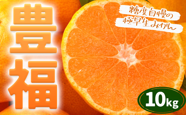 【先行予約】果物 フルーツ みかん 極早生みかん 豊福 約10kg 都呂々みかん生産者グループ《2026年10月中旬-11月下旬頃出荷》 ミカン 蜜柑 柑橘 生産者直送 産地直送 天草 苓北 送料無料