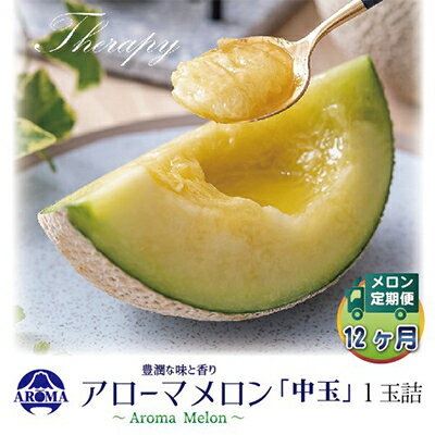 【ふるさと納税】【毎月定期便】アローマメロン白等級(中玉) 1玉 全12回【配送不可地域：離島・北海道・沖縄県】【4013018】