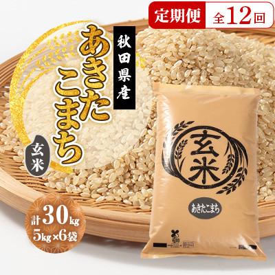 ふるさと納税 大潟村 【毎月定期便】あきたこまち 玄米 30kg(5kg×6袋)全12回
