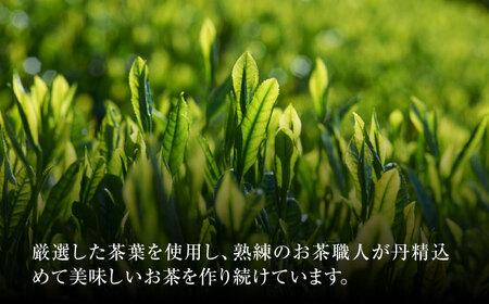 【3回定期便】本格 高級茶セット 100g×3袋 化粧箱入り お茶 煎茶 白川茶 茶葉 ギフト 白川町 / 菊之園[AWAG009]