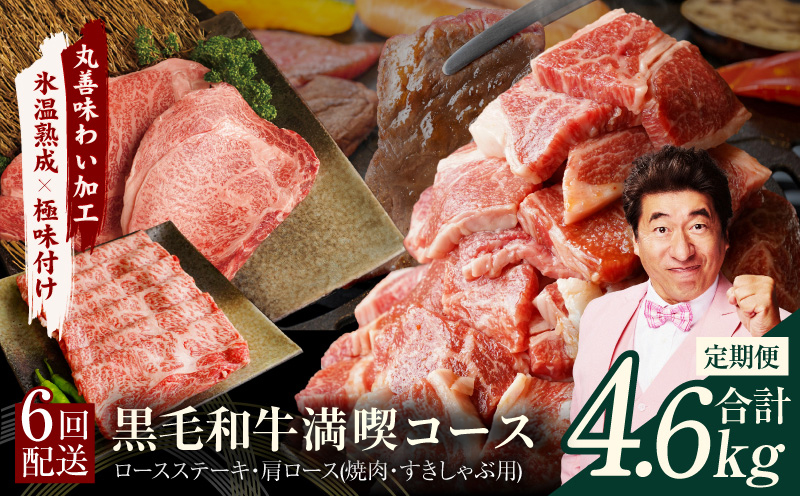 黒毛和牛 定期便 全6回 （ステーキ／焼肉／すき焼き・しゃぶしゃぶ）満喫コース 丸善味わい加工【毎月配送コース 大阪 泉佐野 大阪府 泉佐野市】