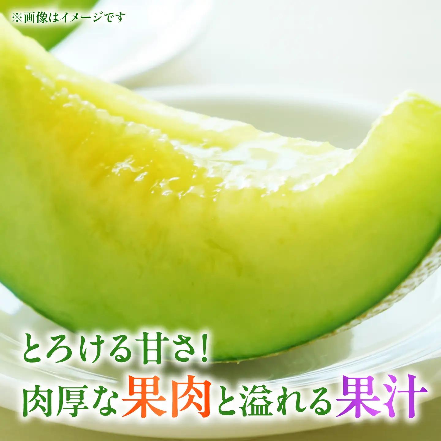 【先行予約】肥後グリーンメロン 1玉 計約2kg【合同会社 福福堂】[ZCN020]