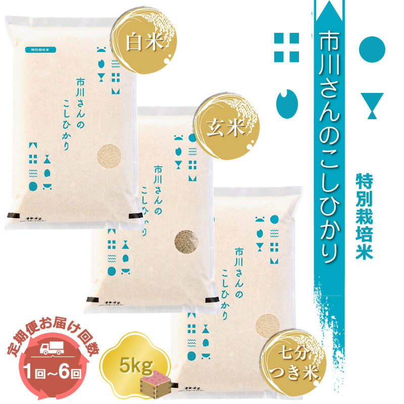 【ふるさと納税】【令和7年産】特別栽培米 市川さんのこしひかり （2025年11月出荷開始予定） | 選べる種類 お届け回数 定期便 | 先行予約 新米 白米 玄米 7分つき米 5kg 信州 国産 新米予約 長野県 佐久市