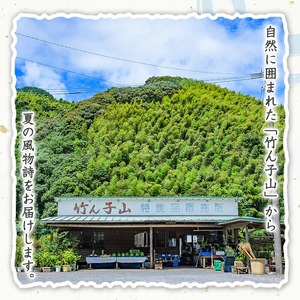 ＜先行予約受付中！2025年11月以降順次発送予定＞数量限定！竹ん子山のみかん(約5kg) 国産 鹿児島県産 阿久根産 ミカン 蜜柑 みかん 柑橘 果物 フルーツ 温州みかん 果実 期間限定 【竹ん子