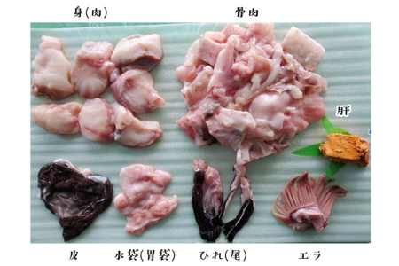 あんこう鍋 セット 4～6人前 1kg アンコウ 鍋 あん肝 _AN005