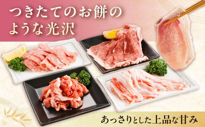 バラエティセット約1,200g (肩ロース・バラ・小間切れ・豚トロ 各300g)