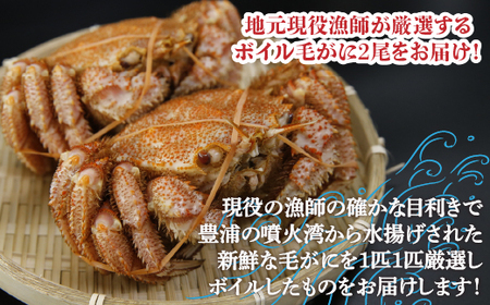 【地元現役漁師が厳選！！】ボイル・毛ガニ2尾（1尾400～500g）北海道 豊浦 噴火湾 【 ふるさと納税 人気 おすすめ ランキング 魚介類 カニ 蟹 かに 毛がに 毛蟹 大容量 お得 おいしい 美