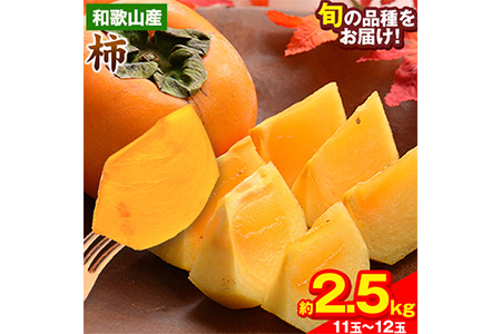 和歌山県産 和歌山県産 柿 約2.5kg 11玉-12玉 前商店《9月下旬-11月中旬頃出荷》柿 かき フルーツ スイーツ 果物 送料無料---wsk_mes20_9g11c_25_10500_12t---