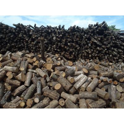 ふるさと納税 小坂町 【毎月定期便】プレミアムミックス薪　約20kg×5ヶ月[約100kg]全5回 |  | 01