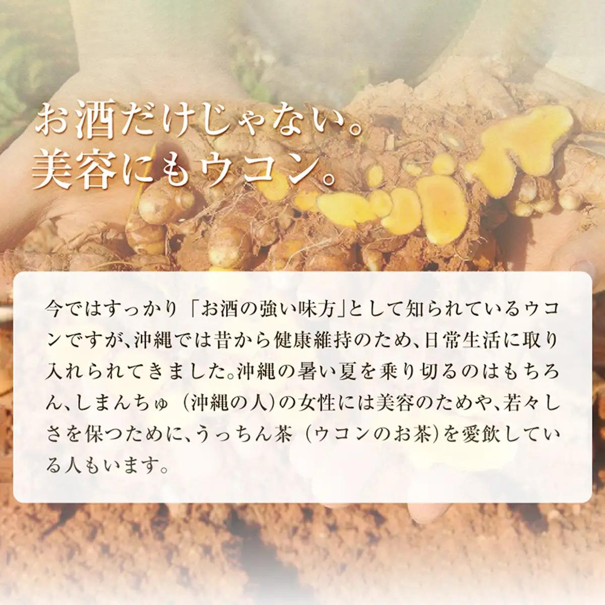 《定期便12回 2袋》琉球発酵ウコン 1袋(1粒重量250mg 3粒×31包)  | 沖縄県産の7種類のウコン | 飲みやすい タブレット 無農薬 農薬・化学肥料 不使用 自然由来 | 株式会社 しま