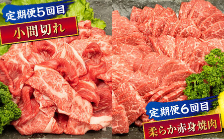 【全6回定期便】 熊本県産 A5等級 黒毛和牛 和王 食べ比べ 牛肉 和牛 国産【帝神志方ミート 株式会社】[AYCH057]