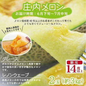 SE0207　【3回定期便】農家直送 こだわりのフルーツ定期便2024 (いちご、庄内メロン、いちじく)