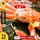 【ふるさと納税】【訳あり】足折れ 越前がに 大きめサイズ × 1杯（800～900g）地元で喜ばれるゆで加減・塩加減で越前の港から直送！【雄 ズワイガニ ずわいがに 姿 ボイル 冷蔵 福井県】【1月発送分】希望日指定可 備考欄に希望日をご記入ください [e23-x013_01]