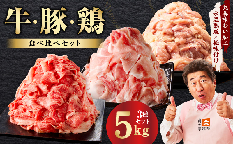 【スピード発送】国産 牛肉＆豚肉＆鶏肉セット 5kg【氷温熟成×極味付け 3種 食べ比べ 普段使い 味付き 小分け 訳あり サイズ不揃い  大阪 泉佐野 大阪府 泉佐野市】