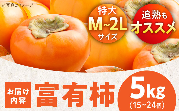 【先行予約】【11月初旬より順次発送】愛媛県産 富有（ふゆう）柿　Mから2Lサイズ 約5kg 箱入（15〜24玉）　愛媛県大洲市/沢井青果有限会社 [AGBN023]秋 フルーツ 果物 柿ジャム かき