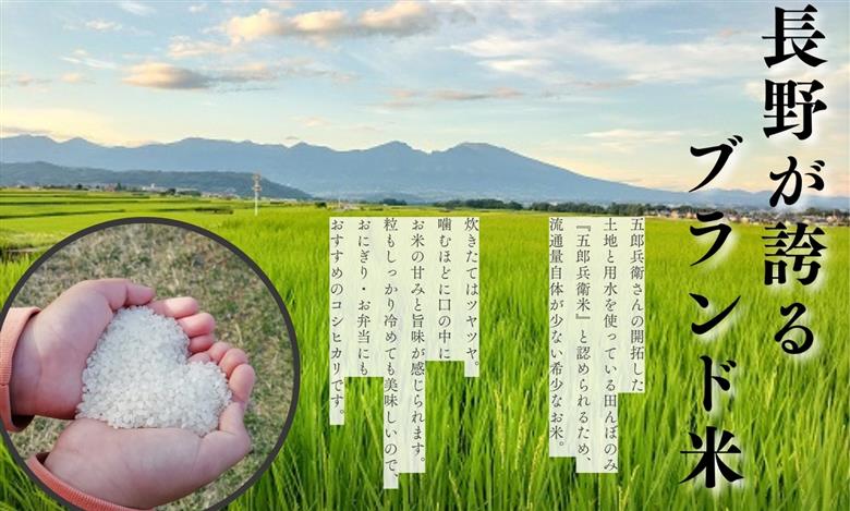 【令和8年産・白米5kg ギフト用】「五郎兵衛さんのお米」＜2026年10月初旬以降順次配送＞ 長野県 信州 新米 こしひかり【 五郎兵衛米 白米 精米 お米 おこめ コメ コシヒカリ こしひかり お