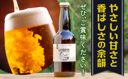 ビール ゆうきみらいエール 330ml × 3本 株式会社結城麦酒《30日以内に出荷予定(土日祝除く)》茨城県 結城市 ビール 酒 エール クラフトビール 瓶 国産