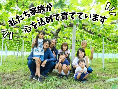【2616-0290】[産地直送] 岡山県産ぶどう詰合せ 1.2kg (シャインマスカット＋旬ぶどう)