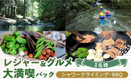 シャワークライミング ＆ オーガニックバーベキュー 1名様 チケット アクティビティ 体験 沢登り BBQ バーベキュー 岐阜 白川町 / Sunpo[AWBC022]