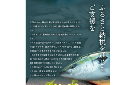 海鮮「ブリの漬け丼の素」1食80g×5P＋「訳ありカツオのたたき」600g以上《迷子のブリを食べて応援 養殖生産業者応援プロジェクト》／「ブリの漬け丼の素」と人気「訳ありカツオのたたき」緊急支援 惣菜