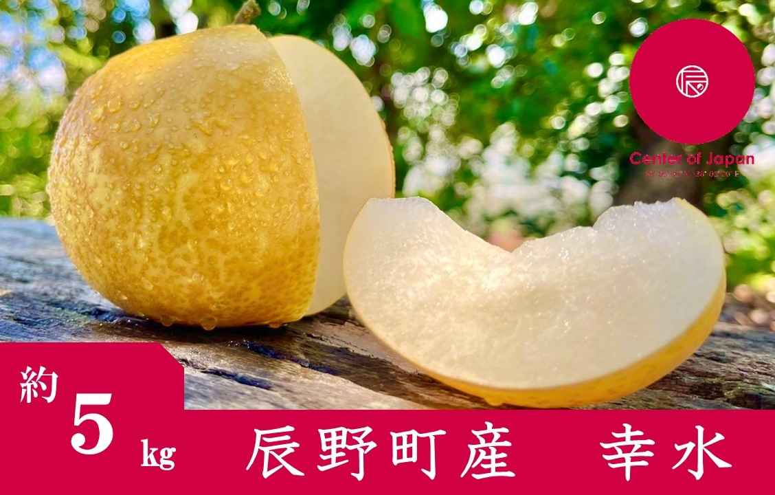 
            227 先行予約! 梨 幸水 ５㎏ 【野澤フルーツ農園】９月初・中発送　数量限定
          