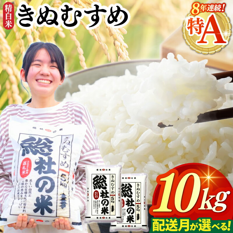 【ふるさと納税】特Aきぬむすめ 米 令和7年産 白米 10kg （5kg×2袋）選べる 配送月 総社市 岡山県産