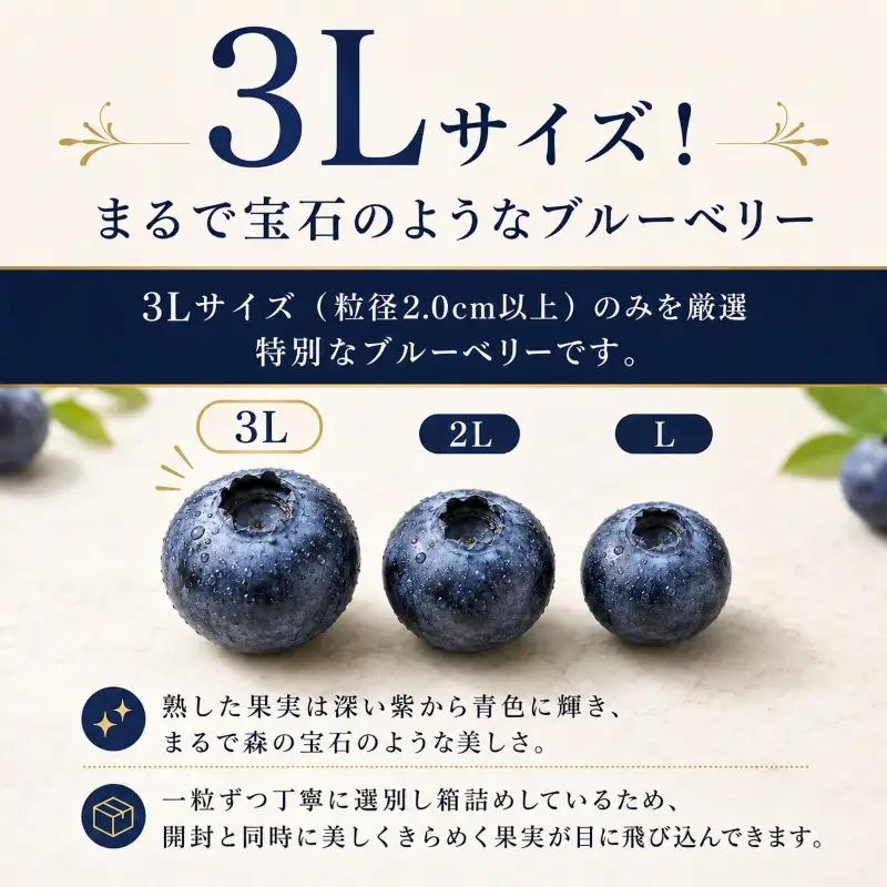 ブルーベリー 3Lサイズ 150g×5 大粒 生ブルーベリー 藤与果樹園 fujiyoB003