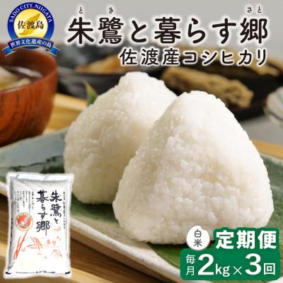 ふるさと納税 佐渡市 【毎月定期便】佐渡島産 朱鷺と暮らす郷(コシヒカリ) 白米2kg 特別栽培米全3回