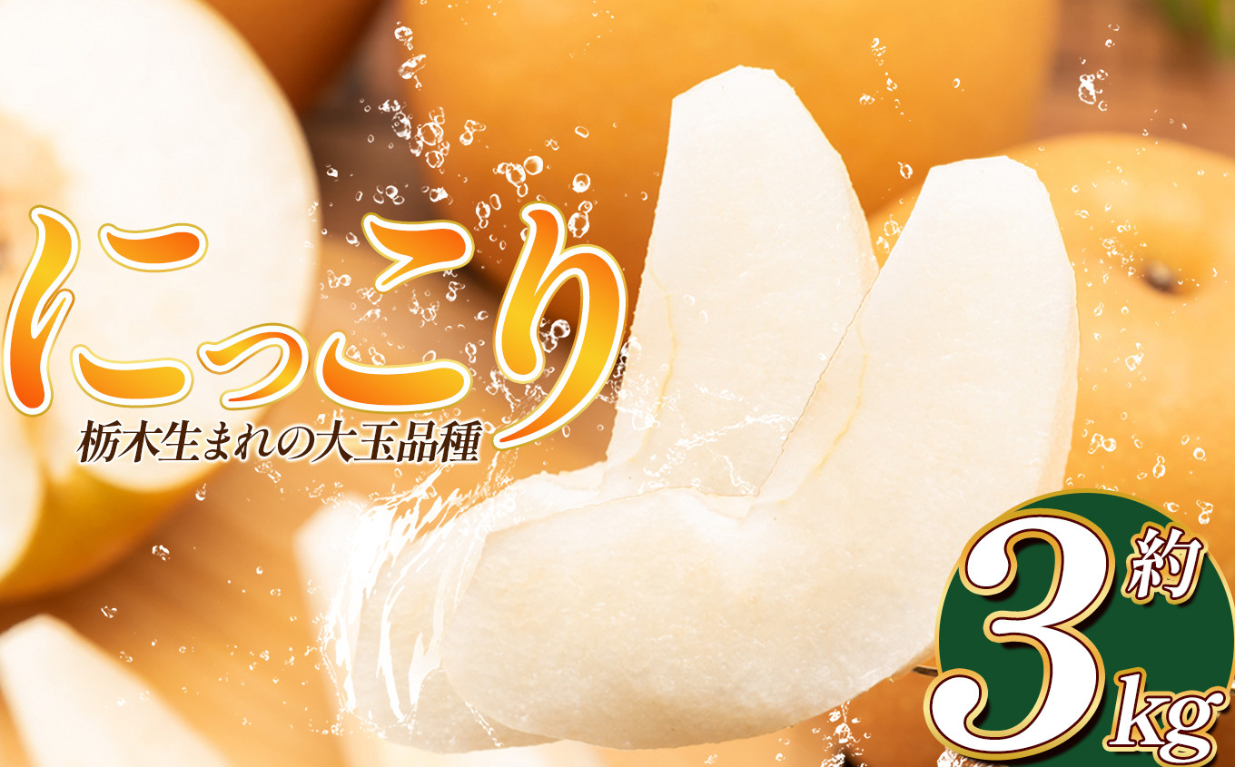
            【2025年秋先行予約】 にっこり 3kg | 送料無料 栃木県 下野市 梨 幸水 果物 フルーツ デザート
          