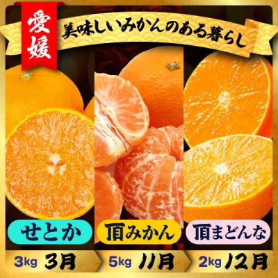 ふるさと納税 八幡浜市 【発送月固定定期便】美味しいみかん柑橘のある暮らし【みかん・まどんな・せとか】【G31-43】全3回 |  | 01