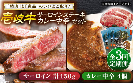 【全3回定期便】サーロインステーキ＆カレー中辛 肉 和牛 [JDW119]