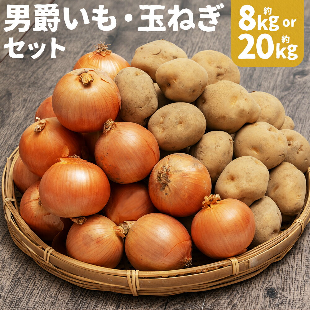 【ふるさと納税】じゃがいも(男爵)・玉ねぎセット 約8kg/約20kg 選べる内容量 Lサイズ じゃがいも 玉ねぎ 芋 野菜 京極町産 北海道産 国産 送料無料【2025年11月上旬～12月下旬に順次発送予定】
