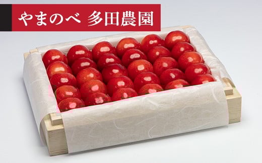 【令和8年産】 やまがた紅王 特選 桐箱詰 300g やまのべ多田耕太郎のさくらんぼ F2Y-4570