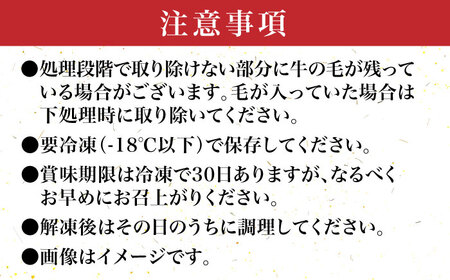 【化粧箱入】博多和牛 牛すじ切落し 1kg＜株式会社マル五＞那珂川市 牛肉 肉 黒毛和牛 ブランド牛 国産  BBQ バーベキュー 11000 11000円 [GDW027]