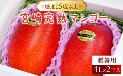 【やました農園】＜先行予約＞★特大サイズ★累計11,000玉申込突破!! 糖度15度以上の高評価の宮崎完熟マンゴー(4L×2玉入・贈答用) 1箱 AE-CD2