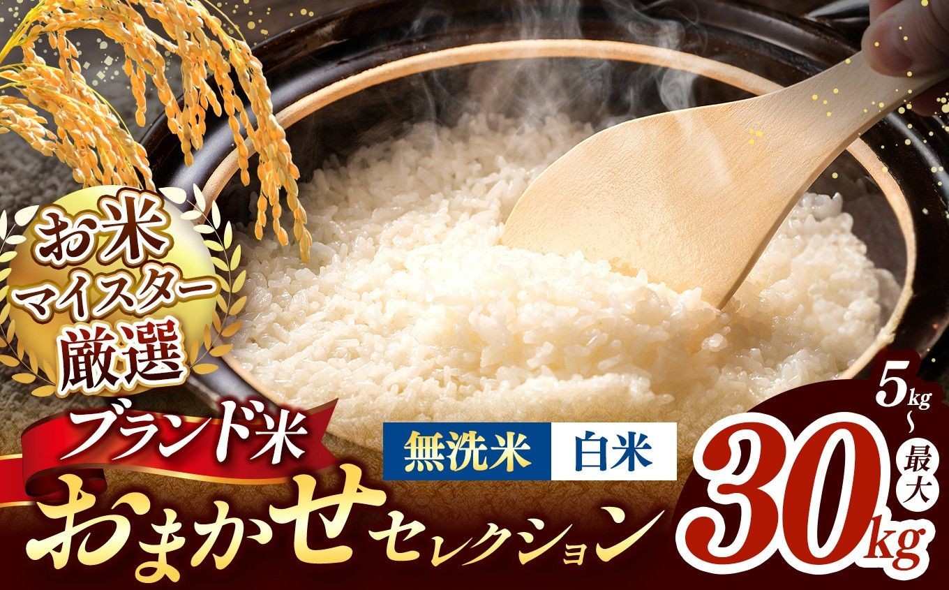 
                  【 令和7年産 】おまかせ セレクション 熊本県産 白米 or 無洗米  ＜ひのひかり / 森のくまさん / くまさんの輝き ＞ 単品 | 単一銘柄 米 単一米 お米 こめ 小分け 人気 コメ お米 5kg 10kg 15kg 20kg 25kg 30kg ブランド米 菊池川流域  家庭用 送料無料  熊本 くまもと 熊本県 和水 和水町 人気 ごはん 
                