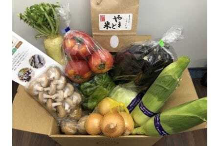 ［定期便］郡上の旬野菜とお米（年3回）