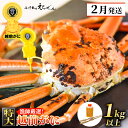 【ふるさと納税】≪浜茹で≫ 越前がに 特大 × 1杯（生で1kg以上）かに酢 かにスプーン2本 食べ方QRコード付き【雄 ズワイガニ ずわいがに 越前ガニ 姿 ボイル 冷蔵 福井県】【2月発送分】希望日指定可 備考欄に希望日をご記入ください [e38-x001_02]