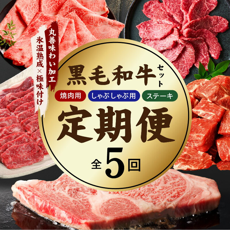 【ふるさと納税】定期便 黒毛和牛 8万円コース 全5回 合計3.3kg 焼肉 ステーキ すき焼き しゃぶしゃぶ 牛丼 バラ カイノミ ロース ヒレ A4ランク 味付き 牛肉 和牛 定期 冷凍 氷温熟成 極味付け 大阪府 泉佐野市 送料無料 肉の泉佐野